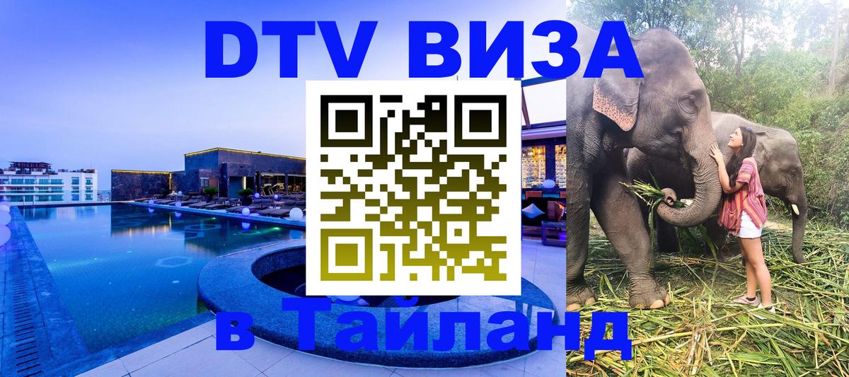 Оформление DTV визы под ключ: стоимость и тарифы, только загранпаспорт - Сызрань  18.11.2025 